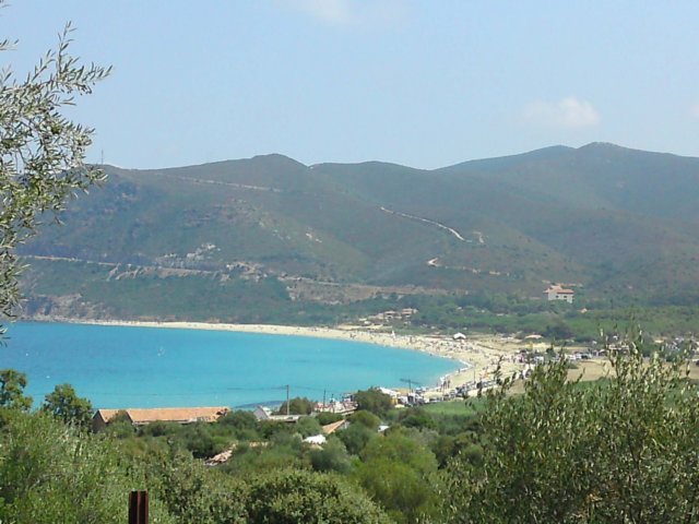 plagelozari2.jpg